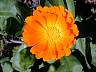 dscn0082.jpg