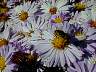 dscn0084.jpg
