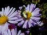 dscn0087.jpg