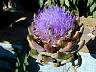 dscn0092.jpg